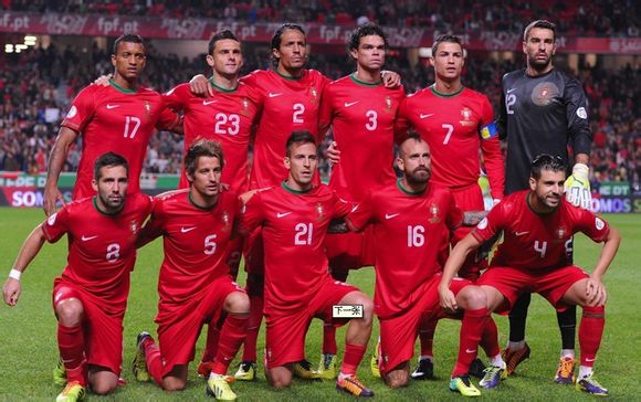 2014年世界杯葡萄牙,2014世界杯葡萄牙队阵容